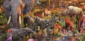 Life in Nature