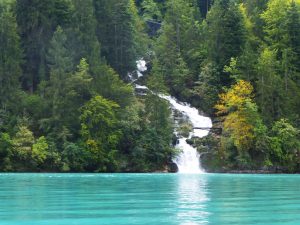 Travel & Experiences