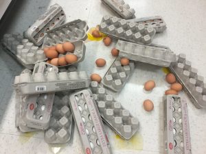 Path to a Healthy Life: Food & Fitness