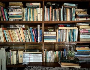 Vintage bookshelf packed with diverse books, offering a cozy and intellectual atmosphere for readers.